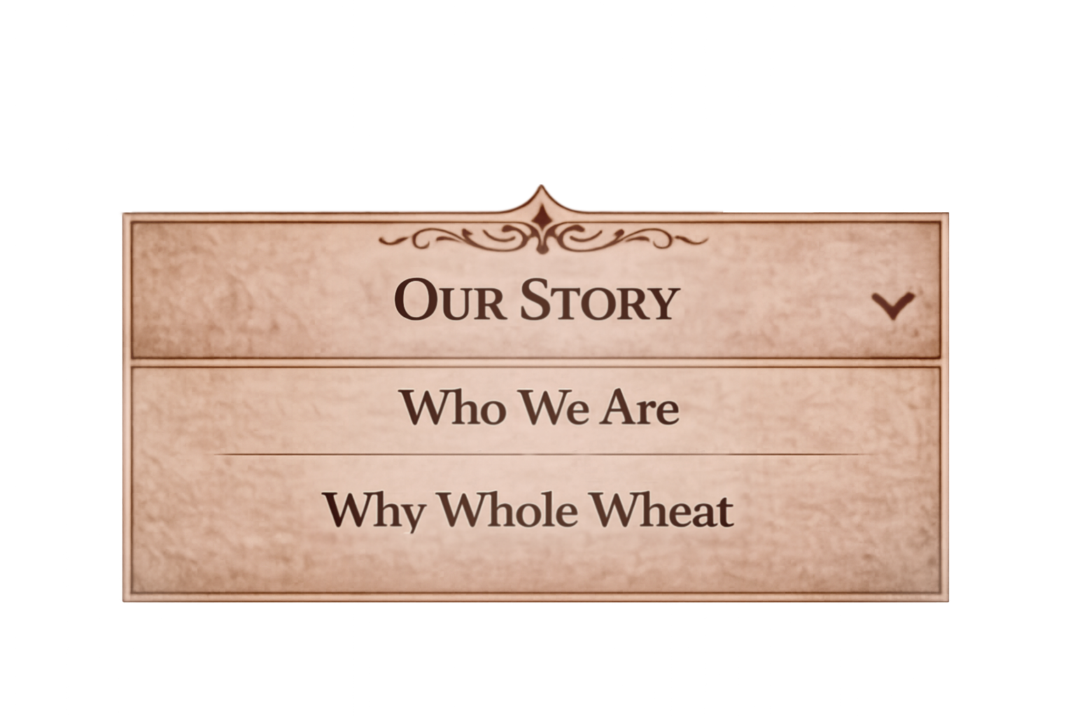 Our Story dropdown menu