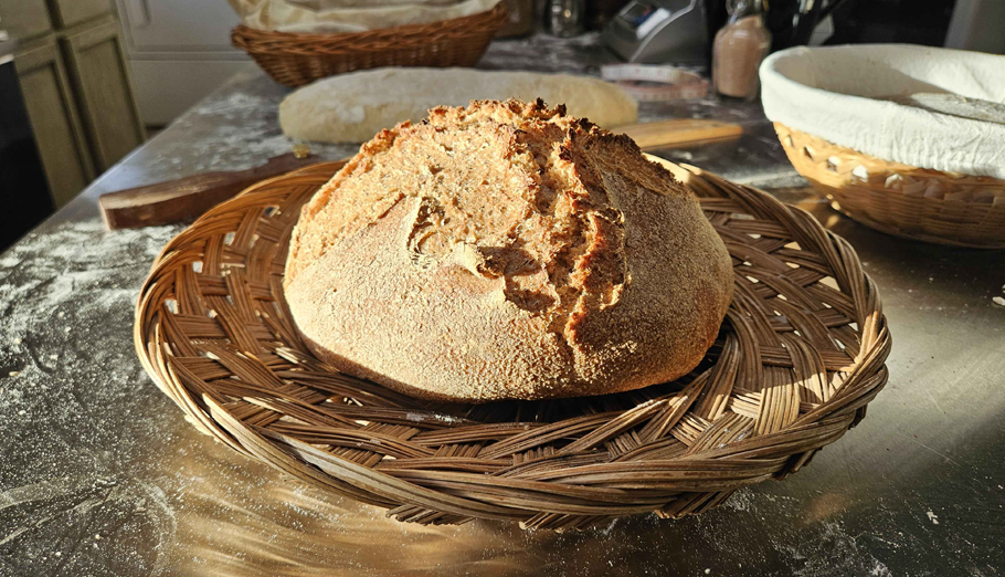 Padre Kino Sourdough Loaf